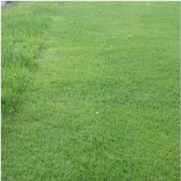 Long Drive Drought Tolerant Grass Seed Mix